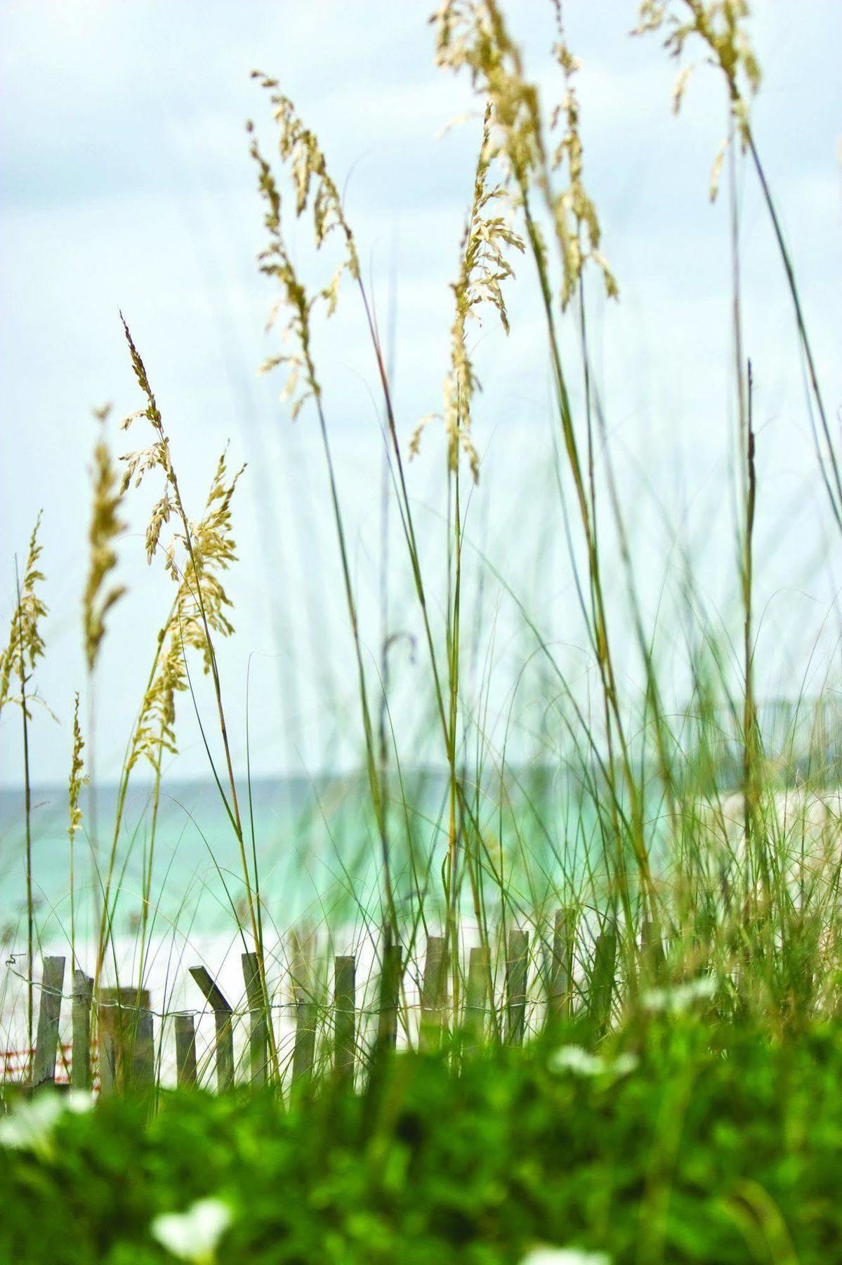 Club Wyndham Beach Street Cottages Miramar Beach Ngoại thất bức ảnh